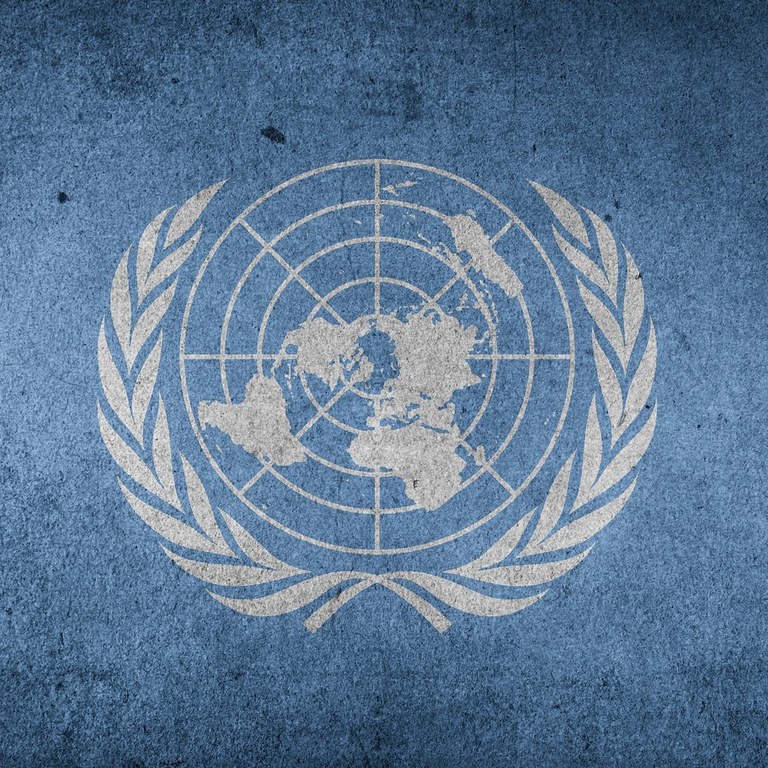  Stage alle Nazioni Unite con Unitar per imparare la diplomazia