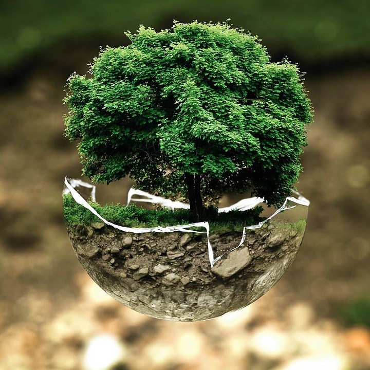 Obiettivo Terra, il premio per le migliori immagini su natura e sostenibilità