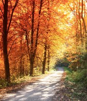 AUTUNNO D’APPENNINO