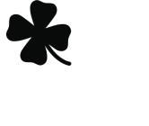 s. patrick 