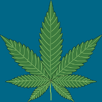 cannabis