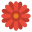 icon_fiore