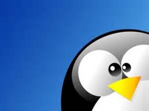 linux_img1