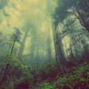 Crisi ambientale: la Terra è un pianeta a rischio. Crisi ambientale: la Terra è un pianeta a rischio.