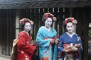 #FuoriModena Festival dell'Oriente a Bologna