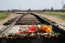 Il GIORNO DELLA MEMORIA Il GIORNO DELLA MEMORIA
