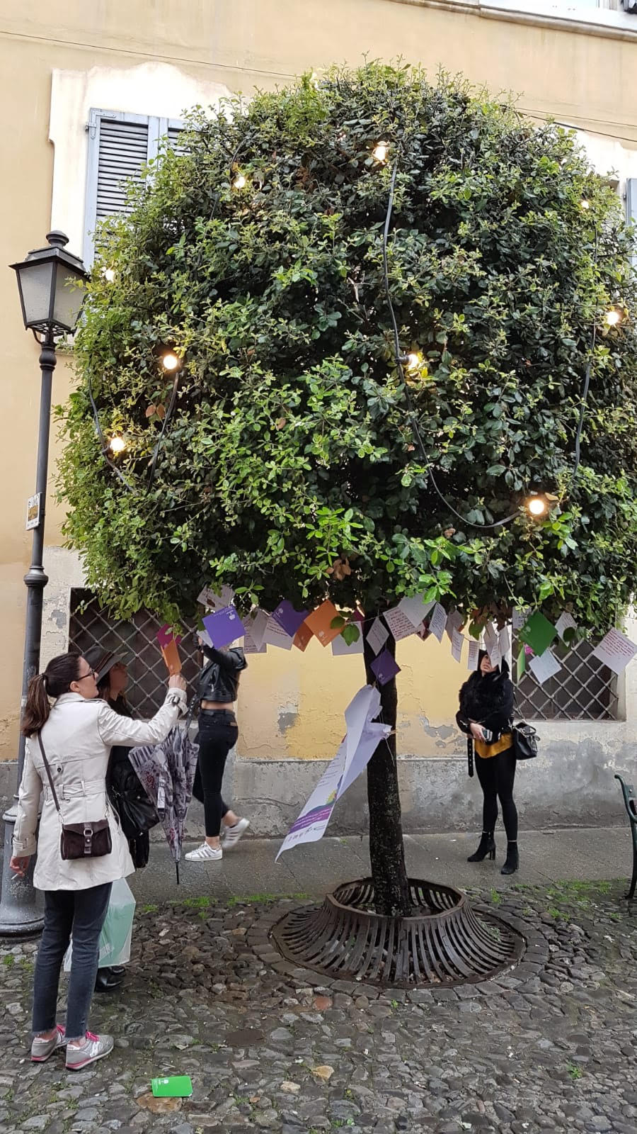 Albero Letterario in Piazza della Pomposa