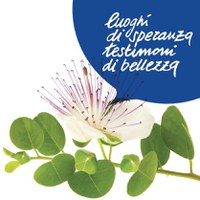 XXII Giornata della Memoria contro la mafia, anche Modena ricorda le vittime innocenti