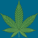 cannabis 2