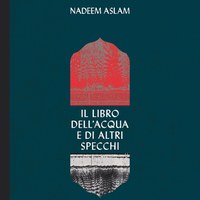 “Il libro dell'acqua e di altri specchi”, di Nadeem Aslam 