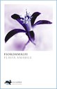 FIORDAMALFI, FLAVIA AMABILE