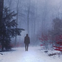 Il dovere di uccidere di Håkan Nesser