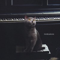 L'ultima sonata_Copertina