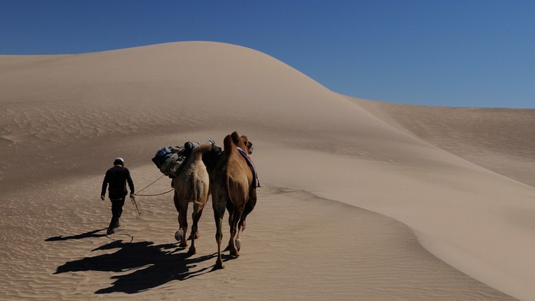 Deserto della Mongolia