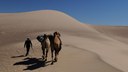 Deserto della Mongolia