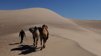 Deserto della Mongolia