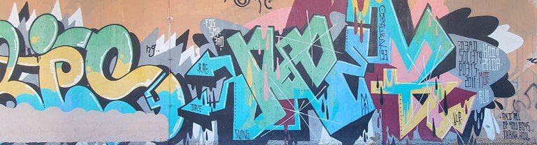 Murales-Modena-920x250.jpg