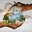 Bando MAECI
