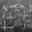 Borse di studio per l’iscrizione ai corsi di laurea in matematica 