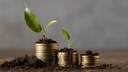 Cresce il ruolo dei green jobs e delle competenze green: le 10 figure professionali più innovative