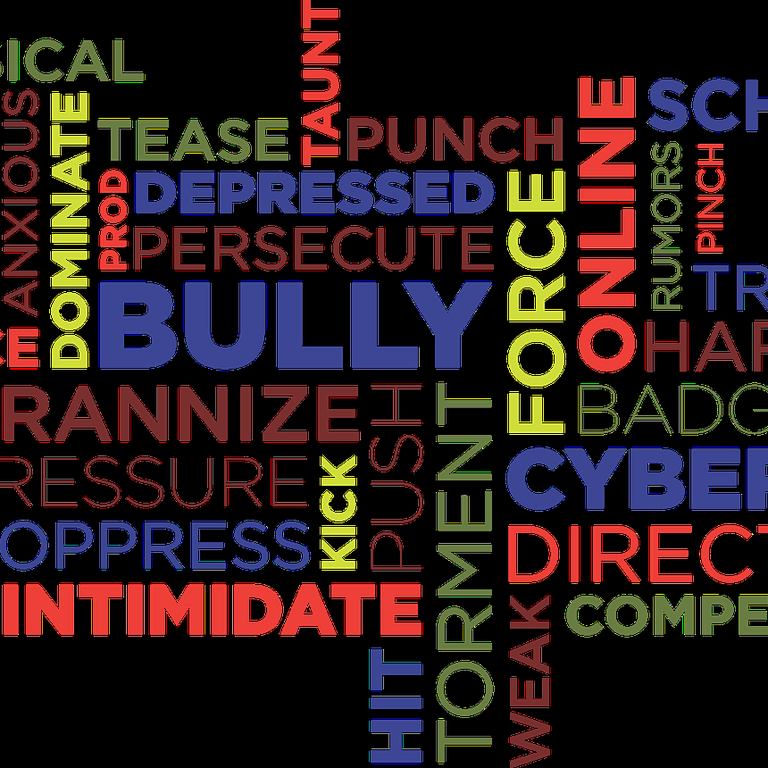CYBERBULLISMO E RISCHI NELLA RETE CYBERBULLISMO E RISCHI NELLA RETE