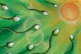 SESSO?... SICURO! I PIU' COMUNI METODI CONTRACCETTIVI SESSO?... SICURO! I PIU' COMUNI METODI CONTRACCETTIVI