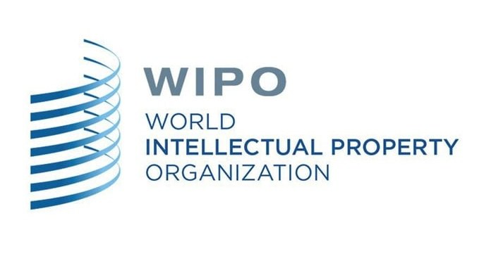 Stage a Ginevra (o sedi ONU) al World Intellectual Property Organization per studenti e laureati
