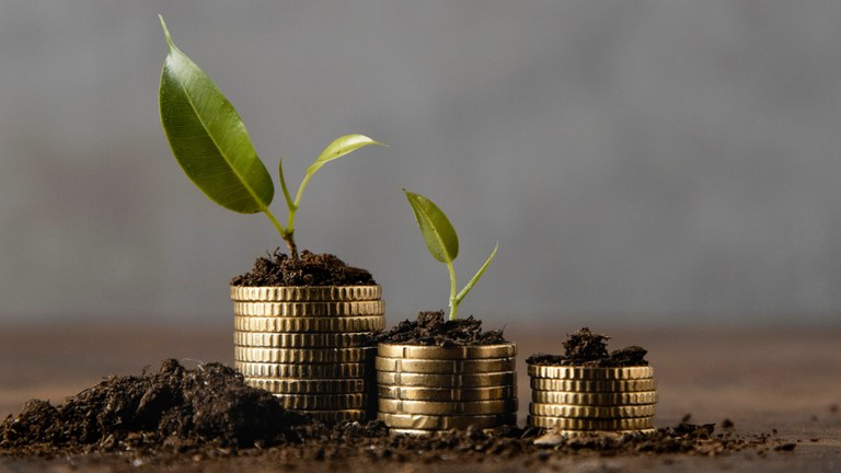 Cresce il ruolo dei green jobs e delle competenze green: le 10 figure professionali più innovative Cresce il ruolo dei green jobs e delle competenze green: le 10 figure professionali più innovative